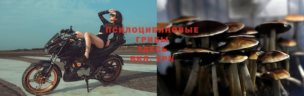 сатива Алексеевка