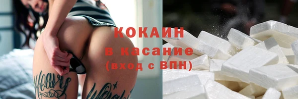 сатива Алексеевка