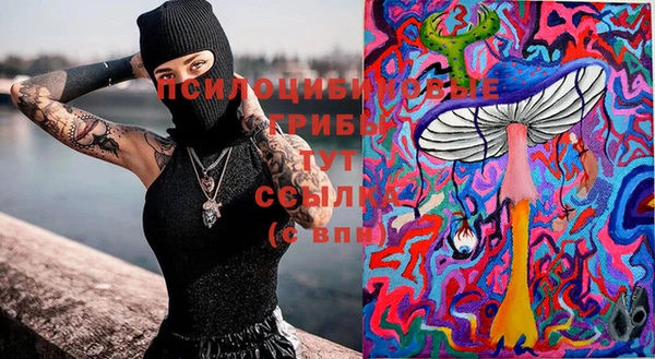 не бодяженный Алексин