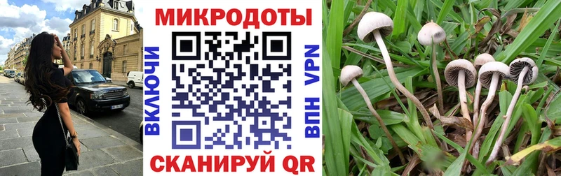 сайты даркнета какой сайт купить сайты Дно Псилоцибиновые грибы Cubensis